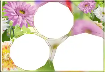Fotoeffekt fra kategori Kvinnelige fotorammer № 170418
