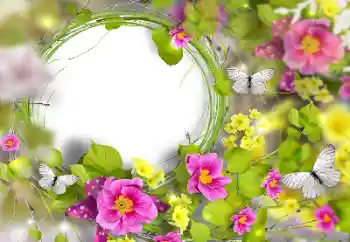 Fotoeffekt fra kategori Kvinnelige fotorammer № 170446
