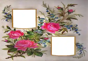 Fotoeffekt fra kategori Kvinnelige fotorammer № 171684 Fotoeffekt fra kategori Kvinnelige fotorammer № 171684