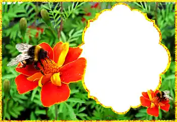 Fotoeffekt fra kategori Kvinnelige fotorammer № 172931 Fotoeffekt fra kategori Kvinnelige fotorammer № 172931