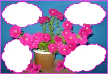 Fotoeffekt fra kategori Kvinnelige fotorammer № 172980