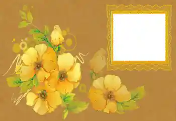 Fotoeffekt fra kategori Kvinnelige fotorammer № 172996