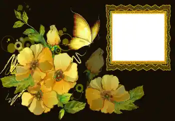 Fotoeffekt fra kategori Kvinnelige fotorammer № 172997