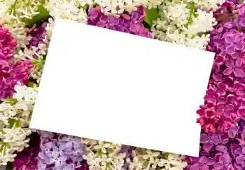 Fotoeffekt fra kategori Kvinnelige fotorammer № 175408 Fotoeffekt fra kategori Kvinnelige fotorammer № 175408