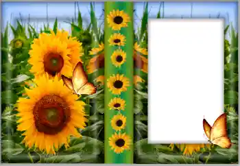 Fotoeffekt fra kategori Kvinnelige fotorammer № 175542 Fotoeffekt fra kategori Kvinnelige fotorammer № 175542