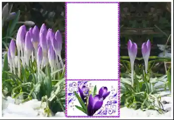 Fotoeffekt fra kategori Kvinnelige fotorammer № 179360 Fotoeffekt fra kategori Kvinnelige fotorammer № 179360