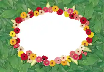 Fotoeffekt fra kategori Kvinnelige fotorammer № 180695