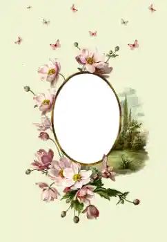 Fotoeffekt fra kategori Kvinnelige fotorammer № 180747