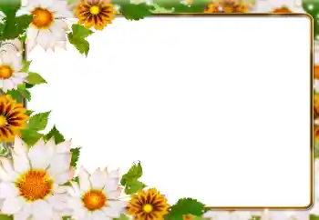 Fotoeffekt fra kategori Kvinnelige fotorammer № 180831