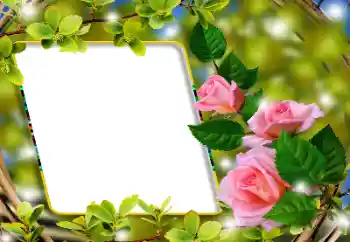 Fotoeffekt fra kategori Kvinnelige fotorammer № 180860