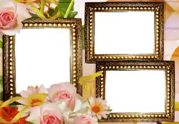 Fotoeffekt fra kategori Kvinnelige fotorammer № 180905