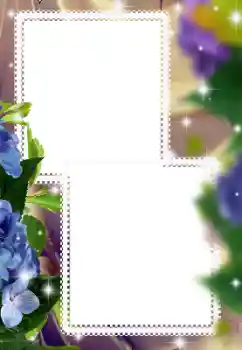 Fotoeffekt fra kategori Kvinnelige fotorammer № 182073