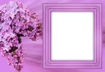 Fotoeffekt fra kategori Kvinnelige fotorammer № 183304 Fotoeffekt fra kategori Kvinnelige fotorammer № 183304