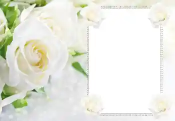 Fotoeffekt fra kategori Kvinnelige fotorammer № 183434 Fotoeffekt fra kategori Kvinnelige fotorammer № 183434