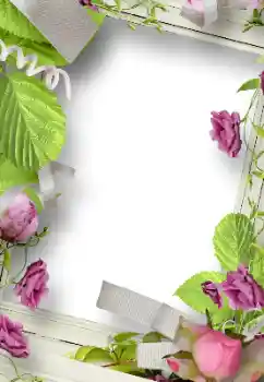 Fotoeffekt fra kategori Kvinnelige fotorammer № 184765