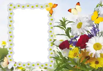 Fotoeffekt fra kategori Kvinnelige fotorammer № 187
