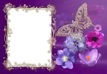 Fotoeffekt fra kategori Kvinnelige fotorammer № 189