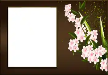 Fotoeffekt fra kategori Kvinnelige fotorammer № 198973