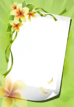 Fotoeffekt fra kategori Kvinnelige fotorammer № 199012