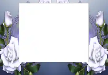 Fotoeffekt fra kategori Kvinnelige fotorammer № 199032