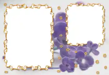 Fotoeffekt fra kategori Kvinnelige fotorammer № 203262