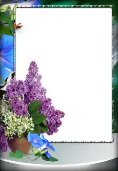 Fotoeffekt fra kategori Kvinnelige fotorammer № 203274