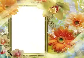 Fotoeffekt fra kategori Kvinnelige fotorammer № 204