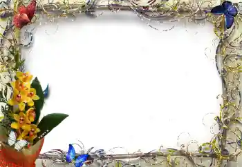 Fotoeffekt fra kategori Kvinnelige fotorammer № 205374