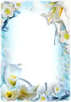 Fotoeffekt fra kategori Kvinnelige fotorammer № 205658