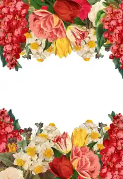 Fotoeffekt fra kategori Kvinnelige fotorammer № 205744