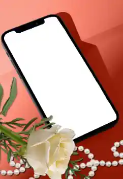 Fotoeffekt fra kategori Kvinnelige fotorammer № 205752