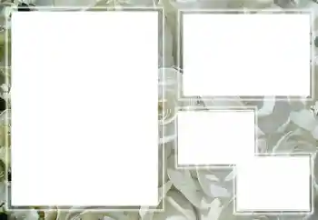 Fotoeffekt fra kategori Kvinnelige fotorammer № 205789