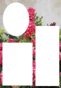 Fotoeffekt fra kategori Kvinnelige fotorammer № 205800