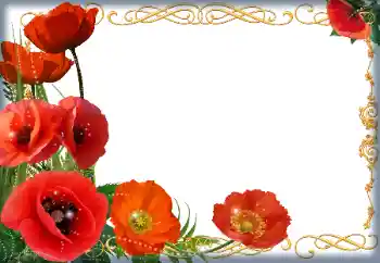 Fotoeffekt fra kategori Kvinnelige fotorammer № 205838