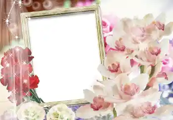 Fotoeffekt fra kategori Kvinnelige fotorammer № 205