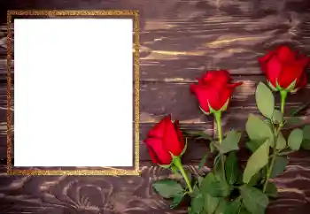 Fotoeffekt fra kategori Kvinnelige fotorammer № 206175