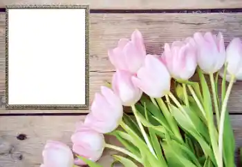 Fotoeffekt fra kategori Kvinnelige fotorammer № 206178