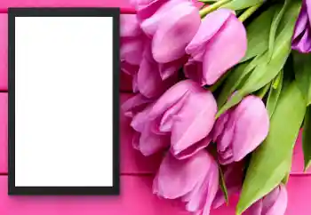 Fotoeffekt fra kategori Kvinnelige fotorammer № 206179