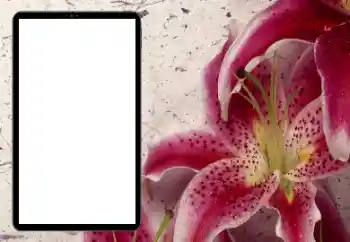 Fotoeffekt fra kategori Kvinnelige fotorammer № 206184