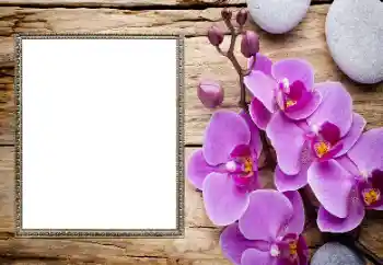 Fotoeffekt fra kategori Kvinnelige fotorammer № 206185