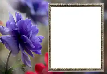 Fotoeffekt fra kategori Kvinnelige fotorammer № 206189