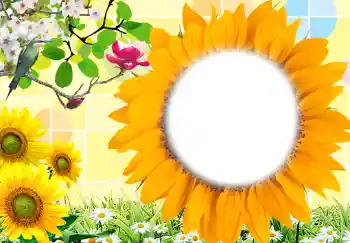 Fotoeffekt fra kategori Kvinnelige fotorammer № 212
