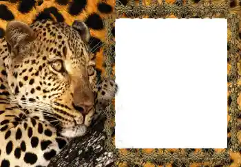 Fotoeffekt fra kategori Kvinnelige fotorammer № 214