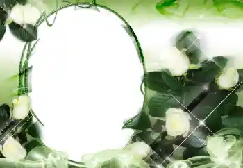 Fotoeffekt fra kategori Kvinnelige fotorammer № 2159