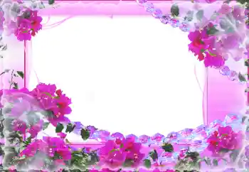 Fotoeffekt fra kategori Kvinnelige fotorammer № 2161
