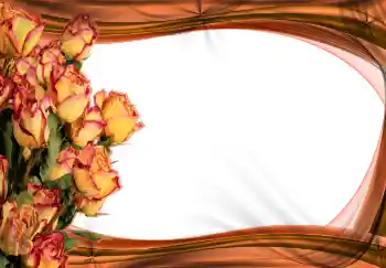 Fotoeffekt fra kategori Kvinnelige fotorammer № 2170
