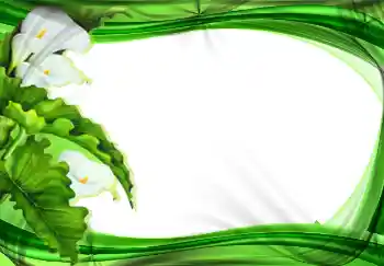 Fotoeffekt fra kategori Kvinnelige fotorammer № 2177