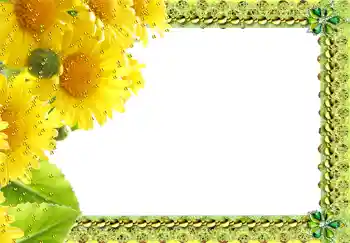 Fotoeffekt fra kategori Kvinnelige fotorammer № 217