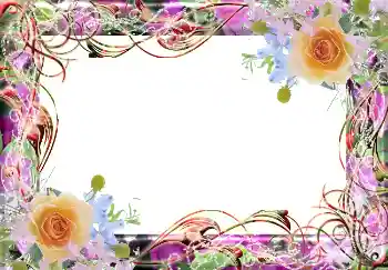 Fotoeffekt fra kategori Kvinnelige fotorammer № 2186