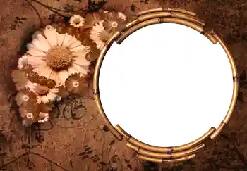 Fotoeffekt fra kategori Kvinnelige fotorammer № 225